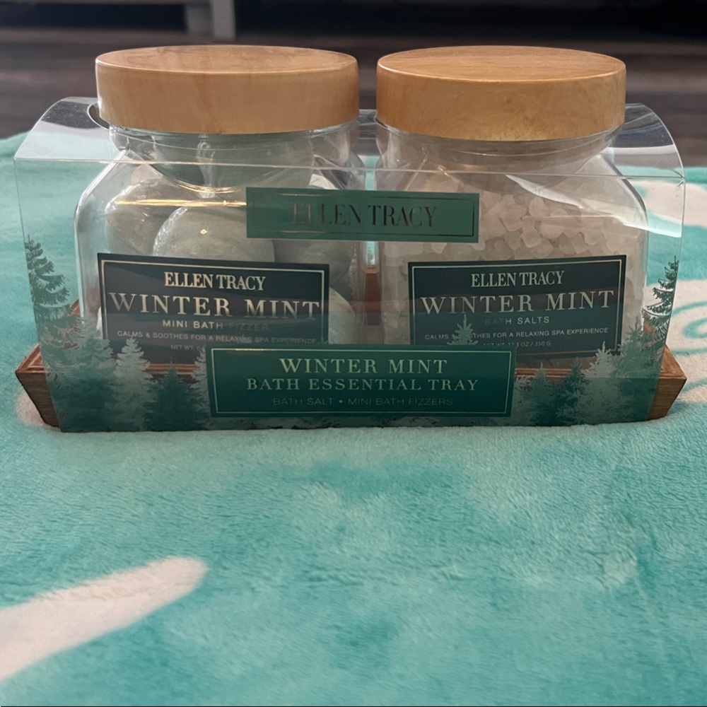Ellen Tracy Winter Mint Bath Soak Set - Teal and Natural